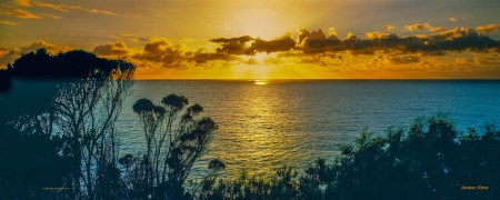 Archived preview of "Amber Glow"