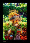 Archived preview of "Apartment for one"