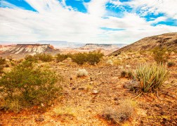 Archived preview of "Colors of the Desert"