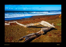 Archived preview of "Driftwood"