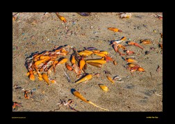 Archived preview of "In with the Tide"