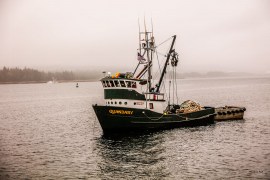 Archived preview of "Ready to Fish"