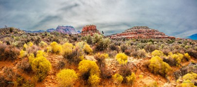 Preview of "Seasons Change"