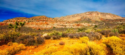 Archived preview of "The Trail Ahead"