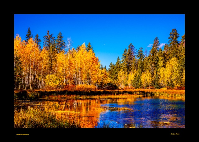 Preview of "Amber Dawn"