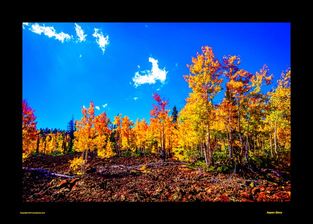 Preview of "Aspen Glory"