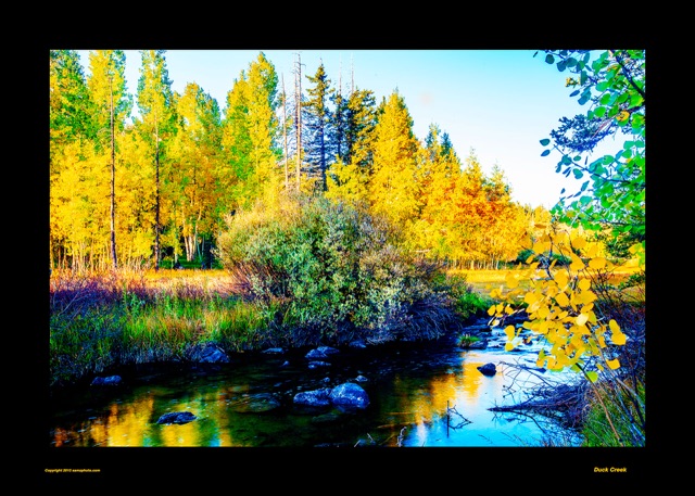 Preview of "Duck Creek"