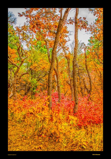 Preview of "Fall at Browse"