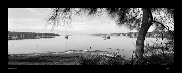 Preview of "First Swim"