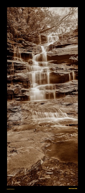 Preview of "Forest Falls"