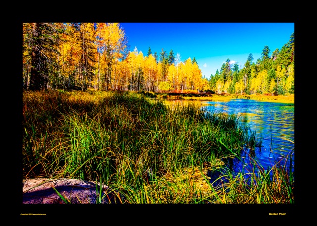 Preview of "Golden Pond"