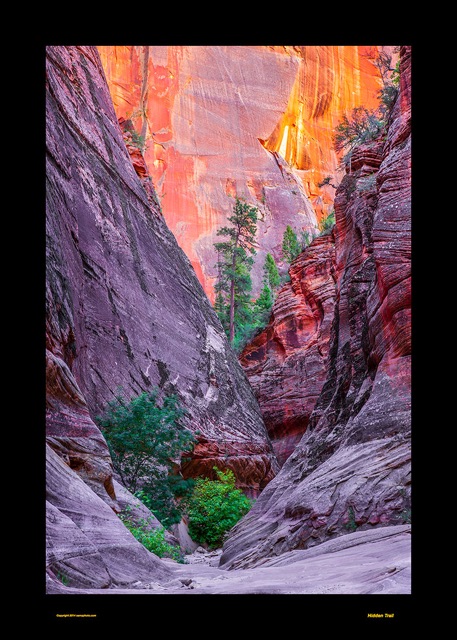 Preview of "Hidden Trail"
