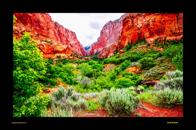 Preview of "Kolob Solitude"