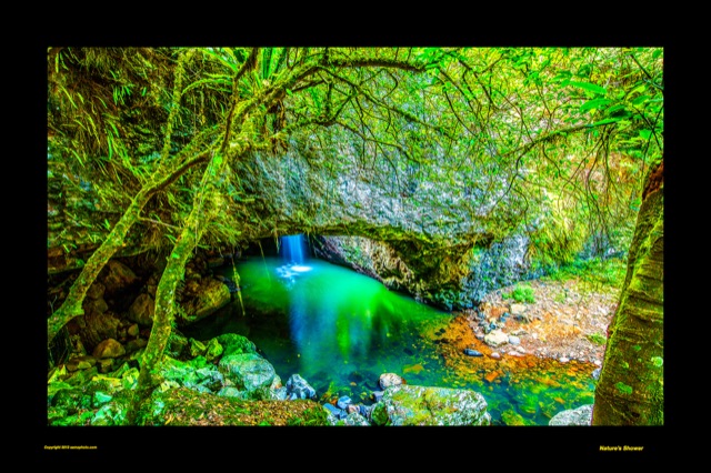 Preview of "Natures Shower"