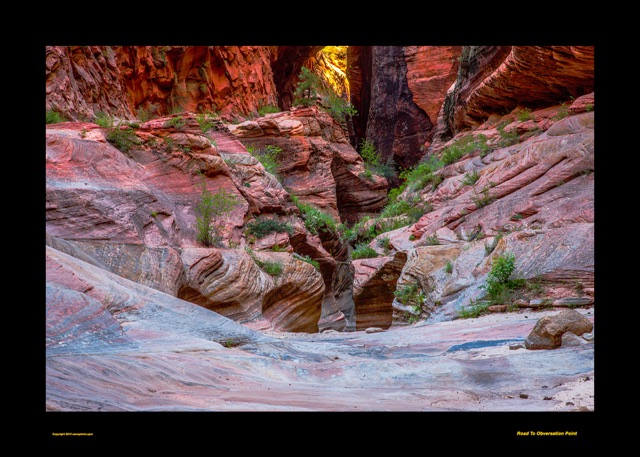 Preview of "Road to Observation Point"