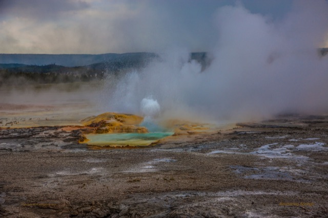 Preview of "Simmering Springs"