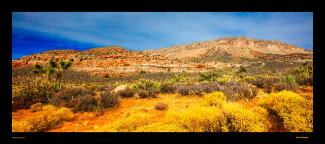 Preview of "The Trail Ahead"