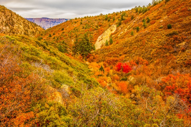 Preview of "Valley of Color"