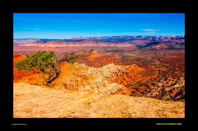 Preview of "Virgin From Gooseberry Mesa"
