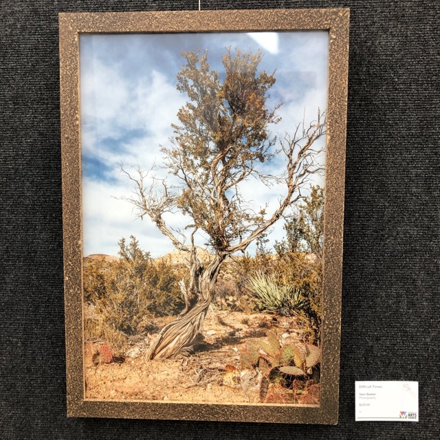 A framed print of a twisted juniper against desert sky, hanging on a gallery wall with its show tag.