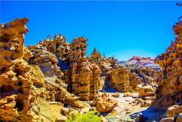 Intricately eroded golden sandstone hoodoos crowd a narrow canyon under a deep blue sky.