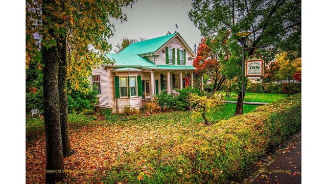 A white inn with a green metal roof behind a hedge, its lawn covered in fallen autumn leaves.