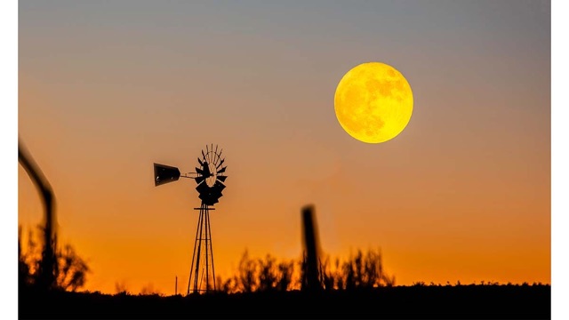 A full yellow moon sets in an orange dawn sky beside the silhouette of a ranch windmill.