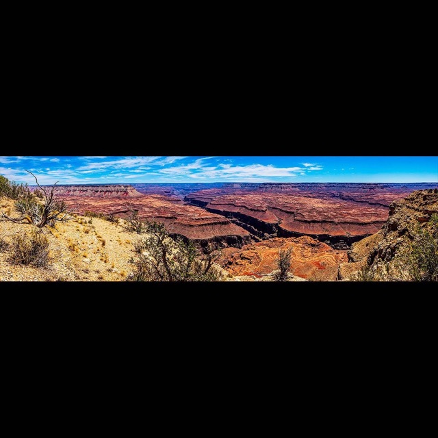 A wide panorama of the Grand Canyon under a blue sky, layered red rock dropping into the gorge.