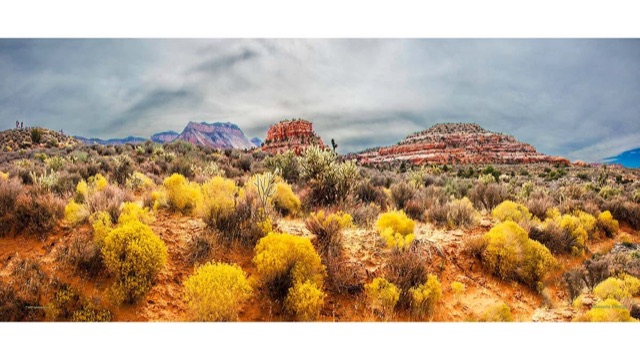 Yellow-blooming rabbitbrush covers an orange hillside below red buttes and a grey storm sky.
